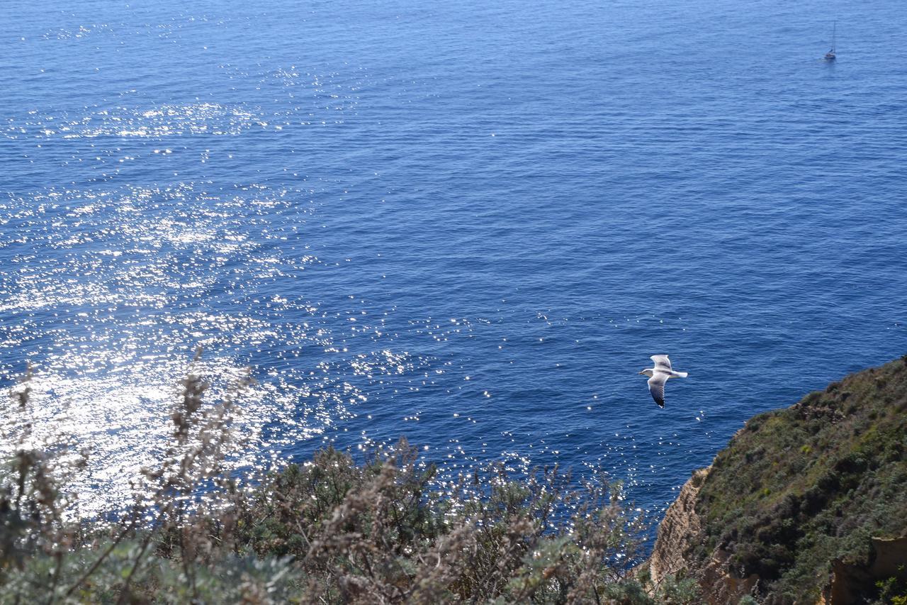 Terra Murata Boutique B&B Procida Ngoại thất bức ảnh