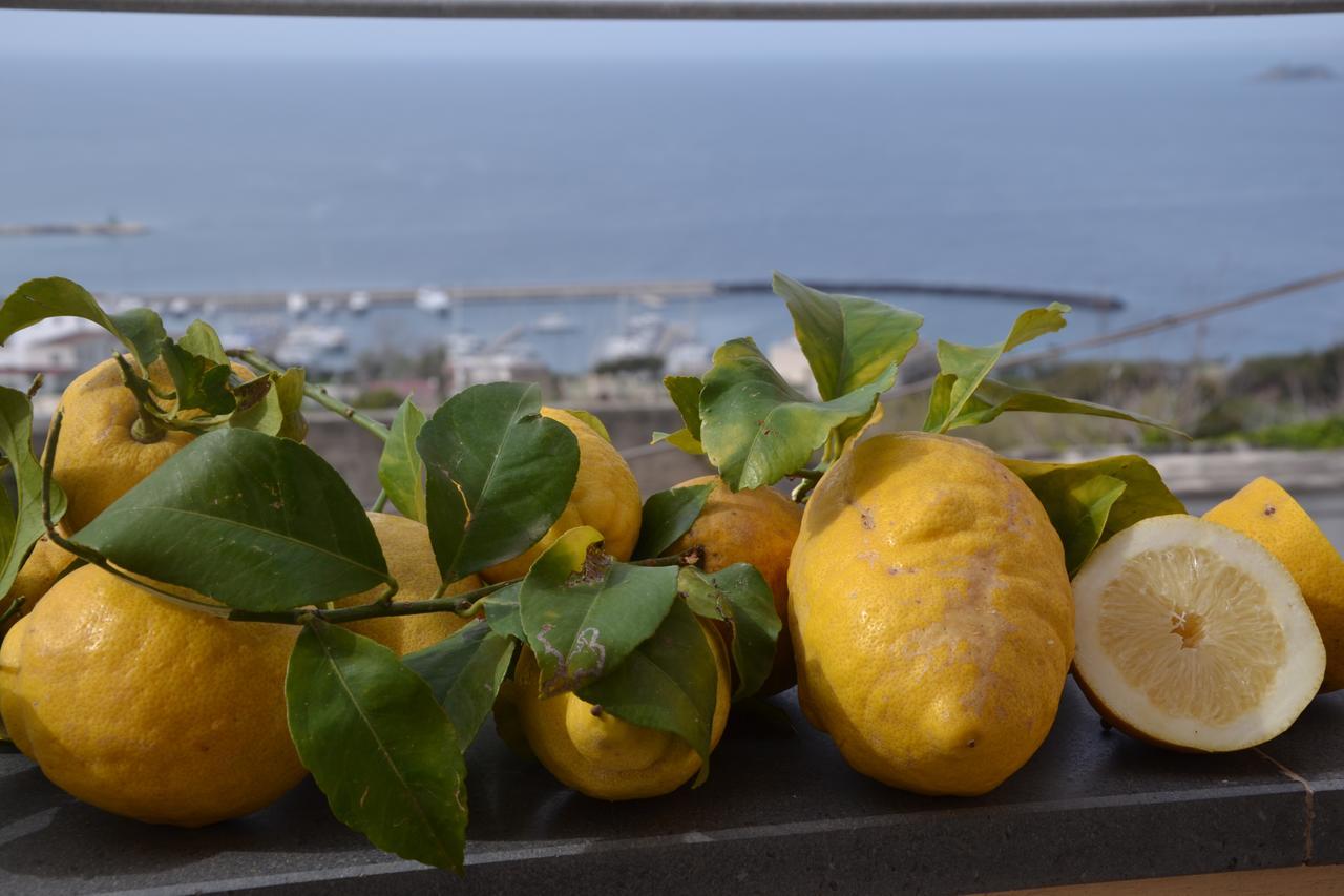 Terra Murata Boutique B&B Procida Ngoại thất bức ảnh