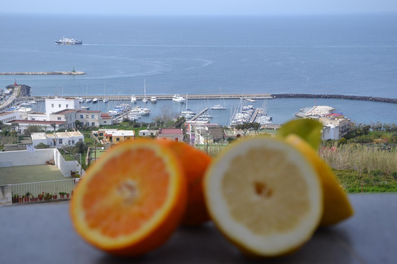 Terra Murata Boutique B&B Procida Ngoại thất bức ảnh